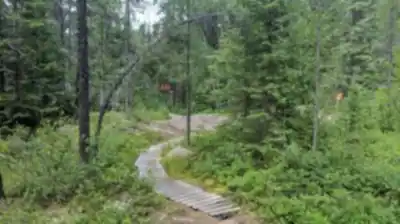Hiking view of Camp Dudemaine