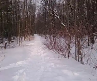 On the trails of Base Plein Air Sainte-Foy