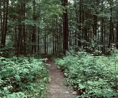 Base Plein Air Sainte-Foy hiking trail - natural landscape