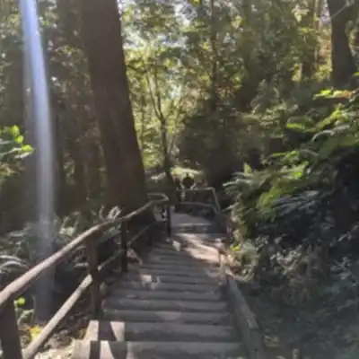 Wreck Beach scenery - hiking