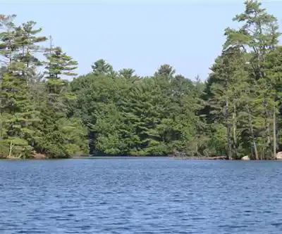 Sentier de randonnée Pawtuckaway Pet - paysage naturel