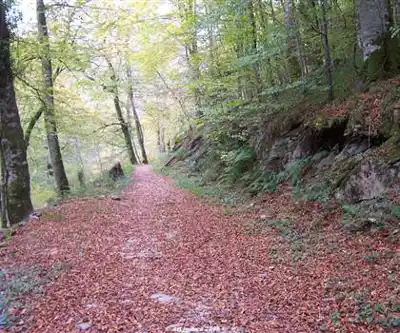 Passerelle d'Holzarte hiking trail - natural landscape