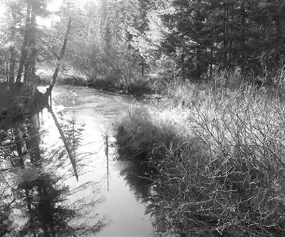 Baldface Mountain hiking trail - natural landscape