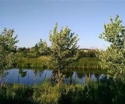 Sentier de randonnée Wismer Park - paysage naturel