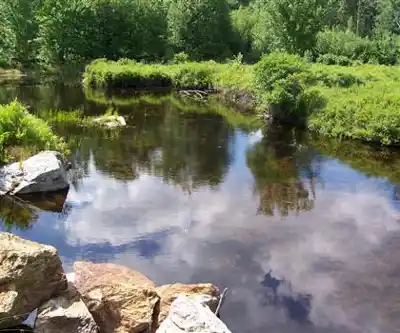Garwin Falls Trail hiking trail - natural landscape