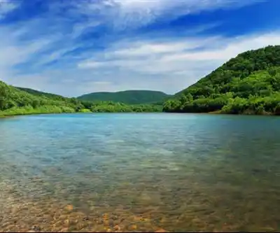 Branch Lake Public Forest hiking trail - natural landscape