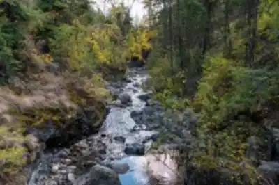 Discover Bear Creek Provincial Park in Thompson Okanagan