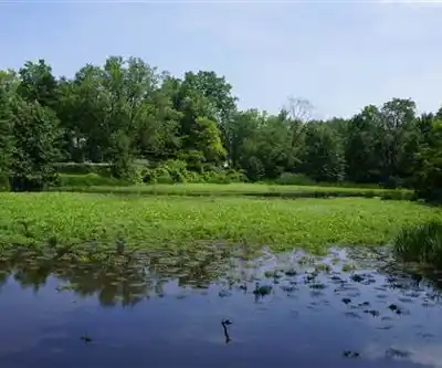 Oxford Thames River Trail hiking trail - natural landscape