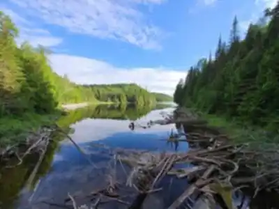 Parc national d'Aiguebelle hike - nature and outdoors