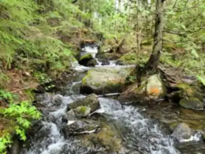 Discover Parc national d'Aiguebelle in Abitibi-Témiscamingue