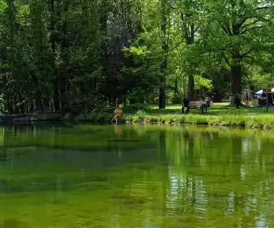 Springwater Provincial Park hiking trail - natural landscape