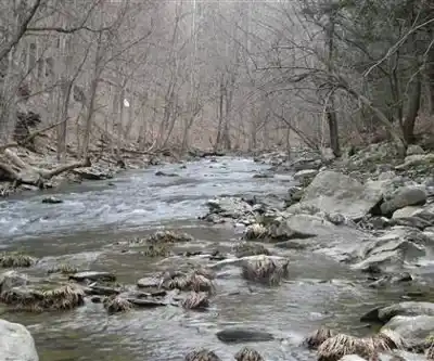 High Falls Conservation Area hiking trail - natural landscape