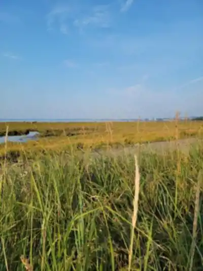 Vue en randonnée de Sentiers Du Littoral Et De La Rivière Rimouski