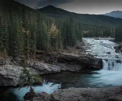 Sheep River Falls hiking trail - natural landscape