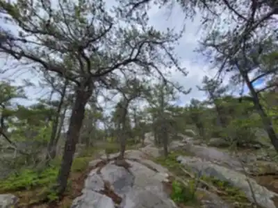 Explore Sentier du Cabouron de Saint-Germain trail