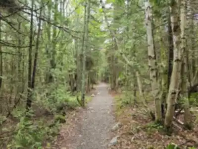 Discover Sentier du Cabouron de Saint-Germain in Bas-Saint-Laurent