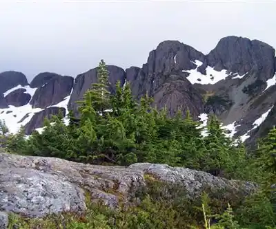 Mount Arrowsmith hiking trail - natural landscape