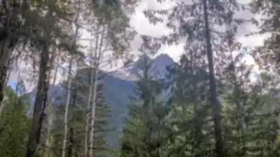 Randonnée Monashee Provincial Park - nature et plein air