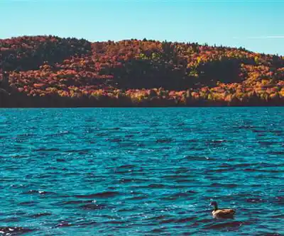 Lake of Two Rivers hiking trail - natural landscape