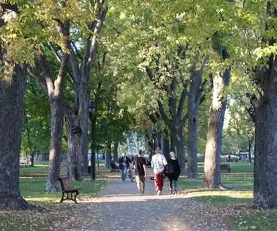 Sir Wilfrid Laurier Park hiking trail - natural landscape