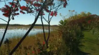 Paysage de Réserve Nationale De Faune Du Lac Saint-françois - randonnée pédestre