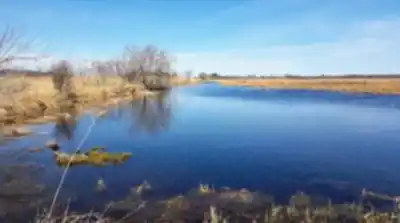 Découvrir Réserve Nationale De Faune Du Lac Saint-françois en Montérégie