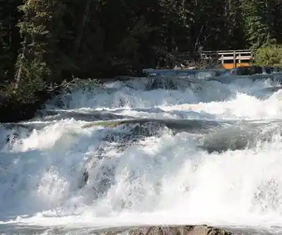 Sentier de randonnée Upper Kananaskis Falls - paysage naturel