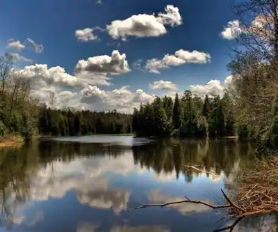 Inglis Falls Conservation Area hiking trail - natural landscape