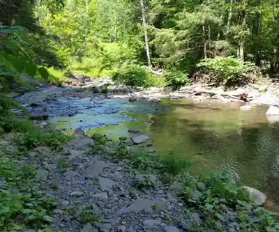 Randonnée Bouck's Falls - nature et plein air