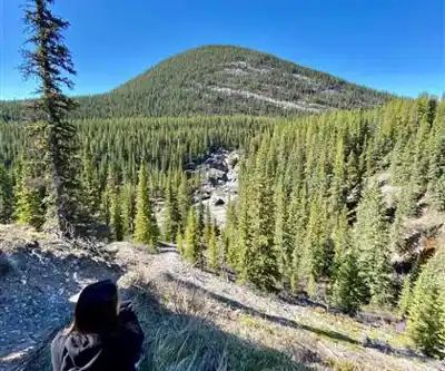 Randonnée Hummingbird Falls - nature et plein air