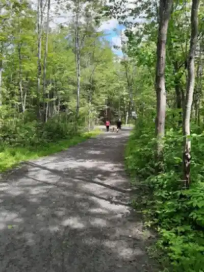 Hiking view of Parc John H. Molson