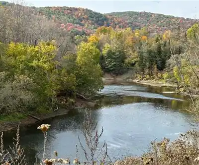 Parc John H. Molson hike - nature and outdoors
