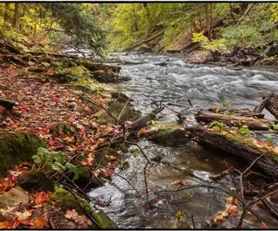 Explore DeCew Falls trail