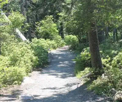 Sentier de randonnée Acadia Park - paysage naturel