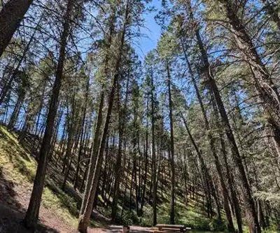 Découvrir Dry Gulch Provincial Park en Rocheuses Kootenay
