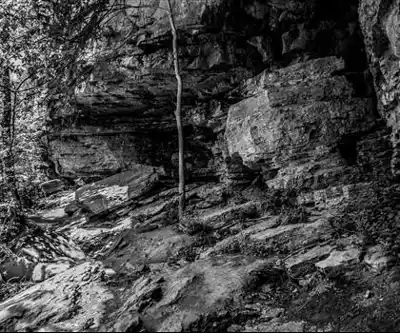 Sentier de randonnée Den Rock Park - paysage naturel