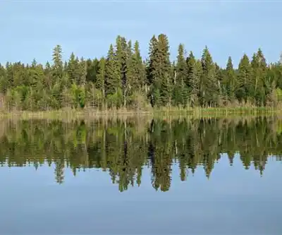 Vue en randonnée de Lakeland Provincial Recreation Area