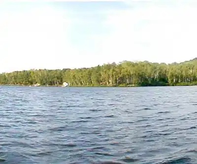 Lake St Peter hiking trail - natural landscape