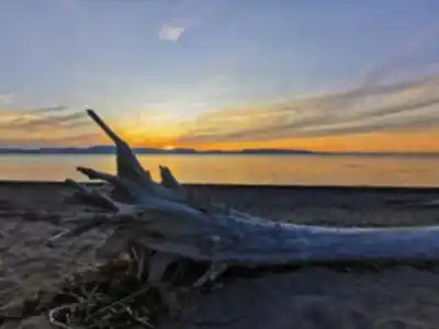 Explore Île Aux Lièvres trail