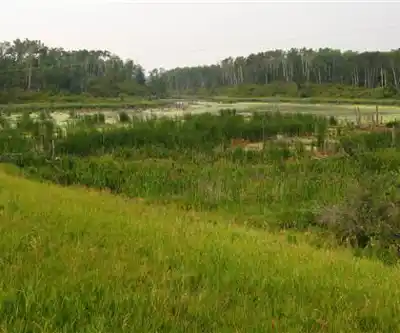 Sentier de randonnée Adam Lake - paysage naturel