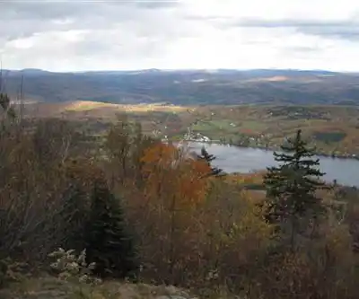 Elmore State Park hiking trail - natural landscape