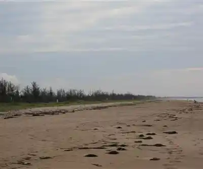 Burlingame State Park hiking trail - natural landscape