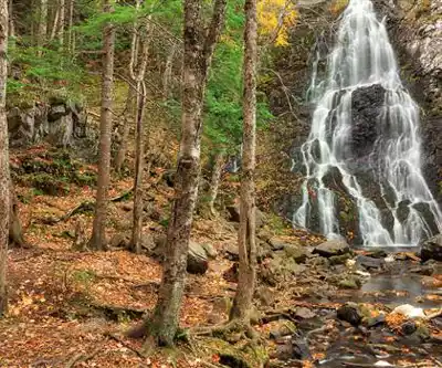 Hays Falls hiking trail - natural landscape
