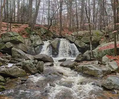 Sentier de randonnée Trap Falls - paysage naturel