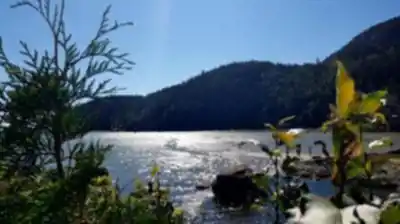 Randonnée Parc Municipal De La Baie-des-rochers - nature et plein air
