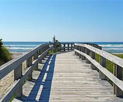 Clam Harbour Beach Provincial Park hiking trail - natural landscape