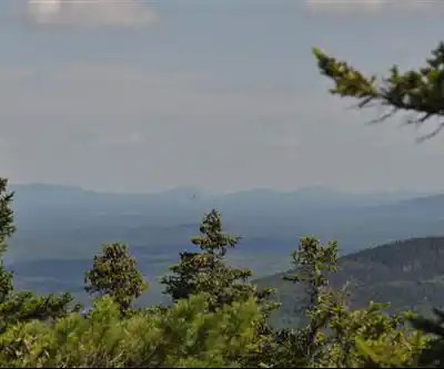 Pleasant Pond Mountain hiking trail - natural landscape
