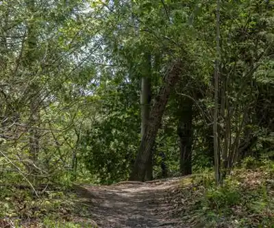 Sentier de randonnée Rock Glen Conservation Area - paysage naturel
