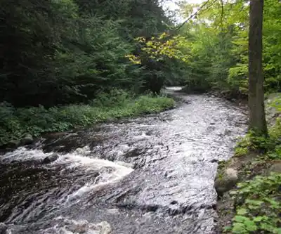 Whetstone Gulf State Park hiking trail - natural landscape
