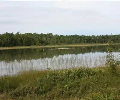 Cyprus Lake Rd hiking trail - natural landscape